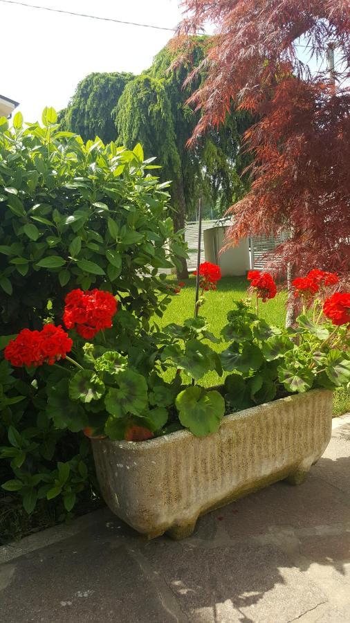 B&B "Al Colle 11" Fano Buitenkant foto